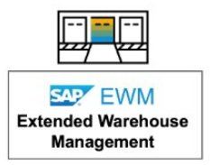 SAP EWM Storage control - Consultoria-SAP