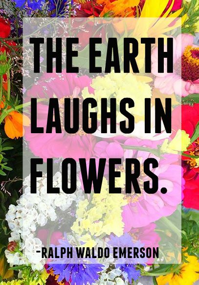 the earth laughs in flowers -ralph waldo emerson
