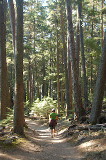 Tami, the hiking machine