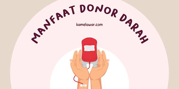 4 Manfaat Donor Darah Menurut Kemenkes dan PMI