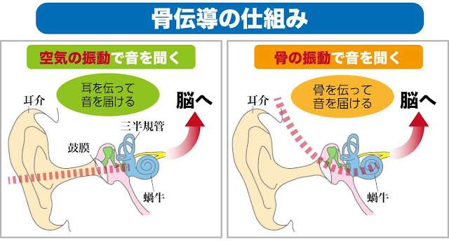 骨伝導式の仕組みを解説したイラスト。気導音と骨導音の違いをあらわしているが、詳細は後述。