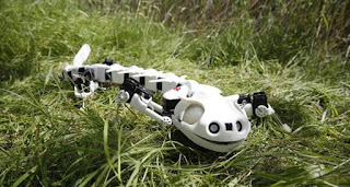 http://www.planeterobots.com/2016/07/04/pleurobot-un-robot-salamandre-permet-detudier-levolution-de-la-marche/