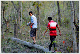 Nijhum Dwip, Mangrove Forest, Nijhum Island Hatia, Trip Navigation Bangladesh, Nijhum Dwip Travel Guide