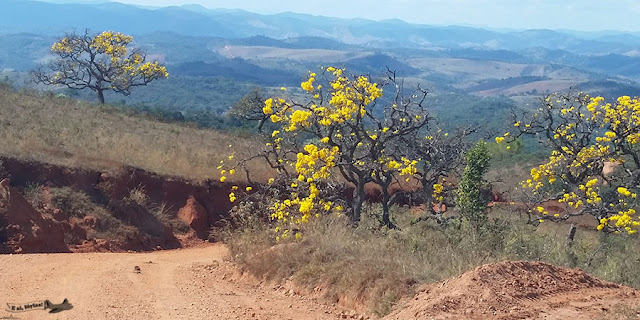 Ipê, Caminho dos Diamantes, Estrada Real