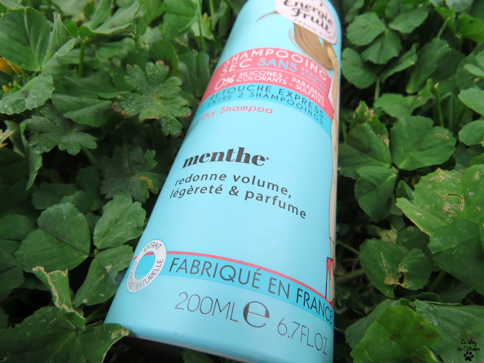 Shampoing Sec Menthe - Energie Fruit