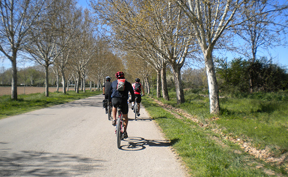 Entrando en Aranjuez