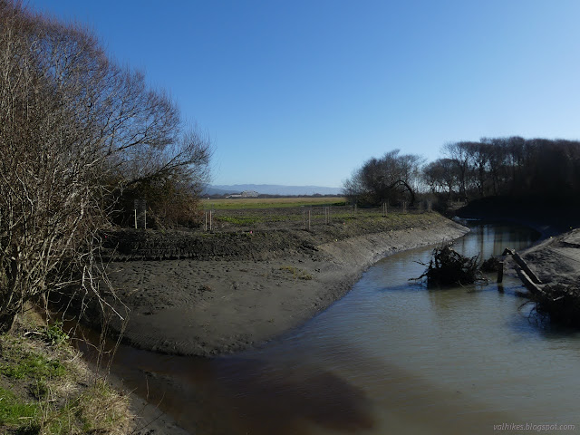 32: branches of river