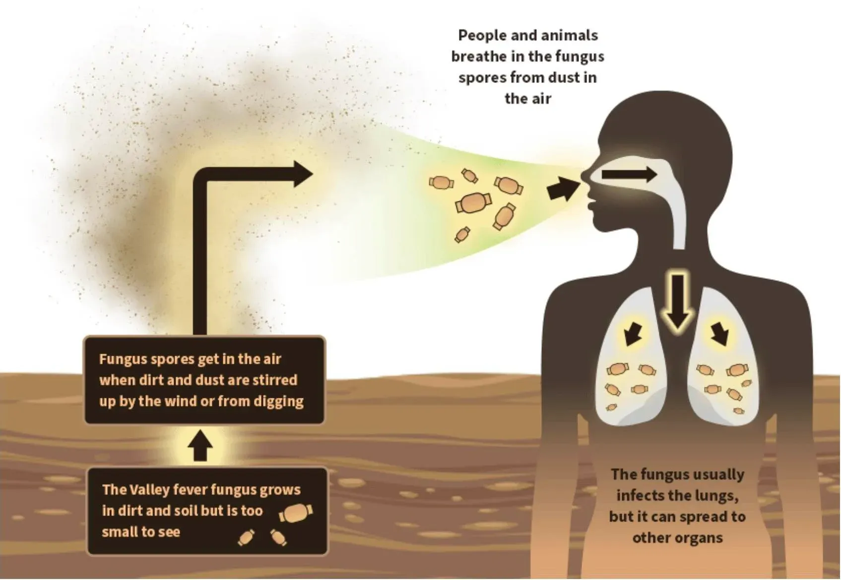 Here We Go: Researchers Warn of Dangerous Fungal Illness Rapidly Spreading Across Country ‘Due to Climate Change’ (VIDEO)