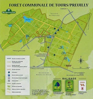 carte_foret