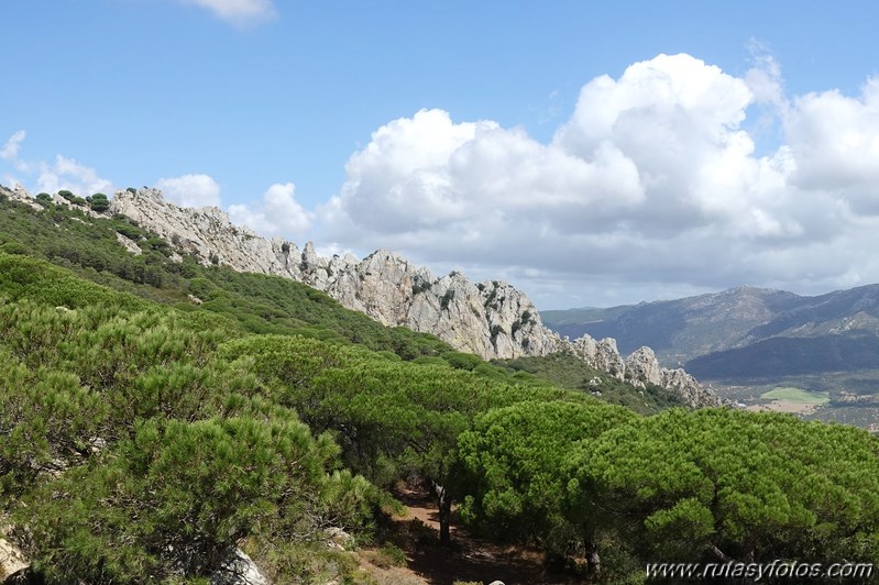 Los Algarbes - Betijuelo - San Bartolomé - Punta Paloma - Duna de Valdevaqueros