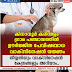 കിനാനൂർ കരിന്തളം ഗ്രാമ പഞ്ചായത്തിൽ ഊർജ്ജിത പേവിഷബാധ വാക്സിനേഷൻ യജ്ഞം    തീയ്യതിയും വാക്സിനേഷൻ കേന്ദ്രങ്ങളും അറിയാം..