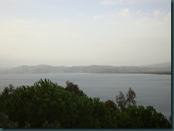 DSC03515