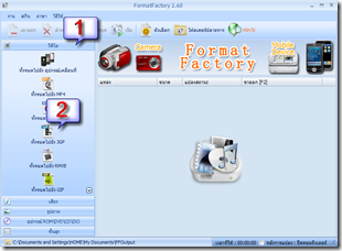 EasyCapture10
