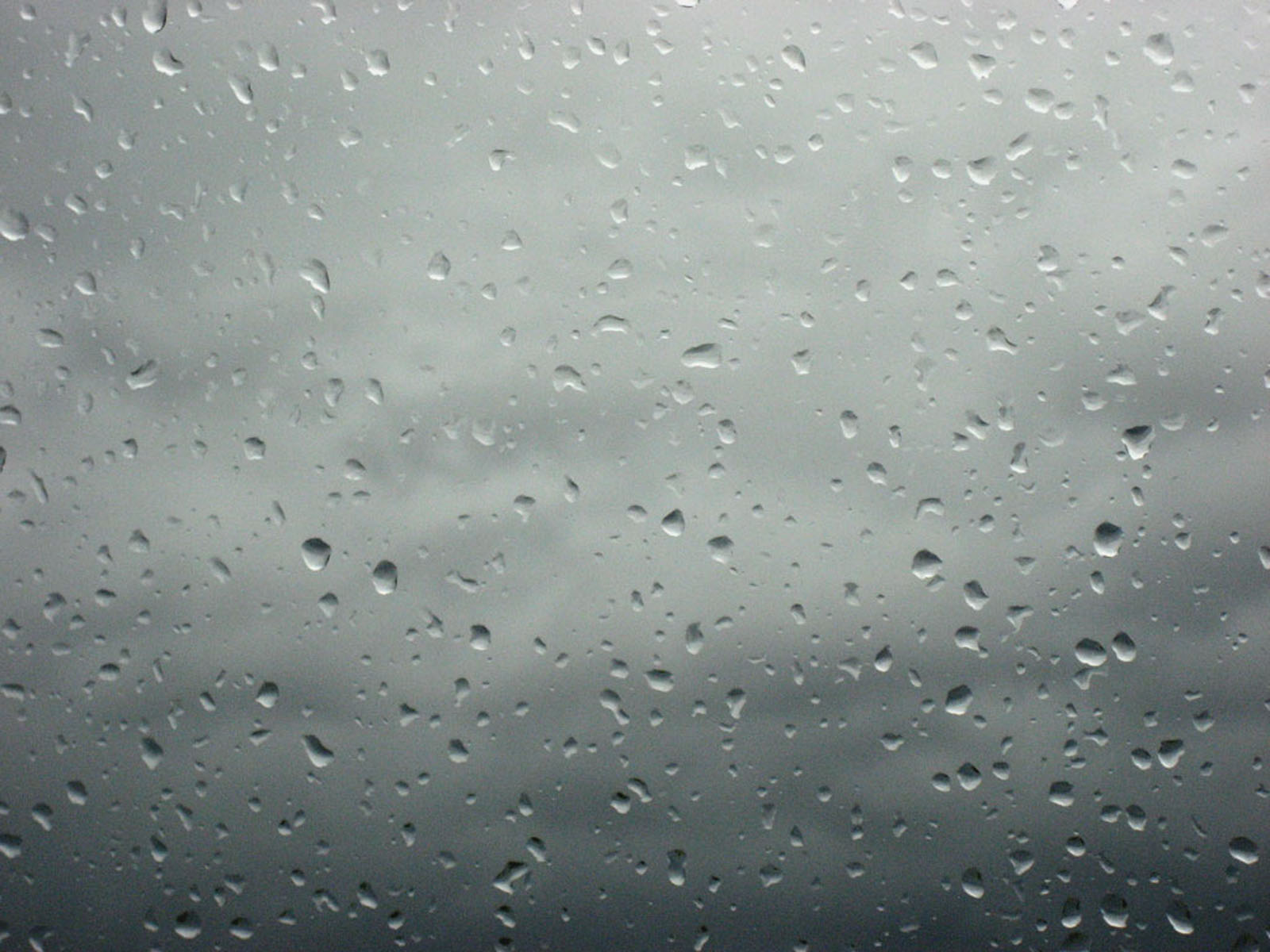 wallpapers: Rain Drops on Glass Wallpapers