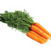 Propiedades de la zanahoria y sus beneficios