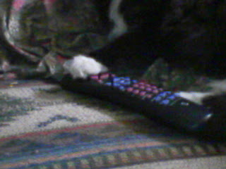 controlling the remote