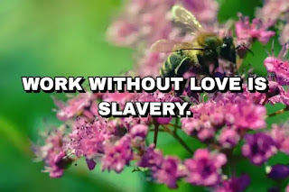 Work without love is slavery.