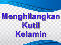 Kutil Di Kemaluan (Genital Wart)