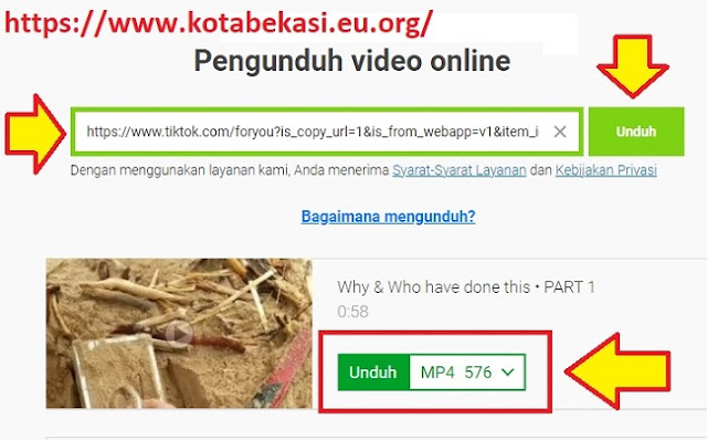 Cara Download Video TikTok Yang Tidak di Privasi Pemilik Video