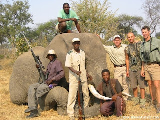 African Elephant Hunting