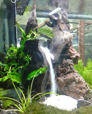 air terjun aquascape