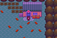 Pokemon Hack Screenshot 03