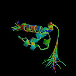 the huntingtin protein of Huntington's chorea