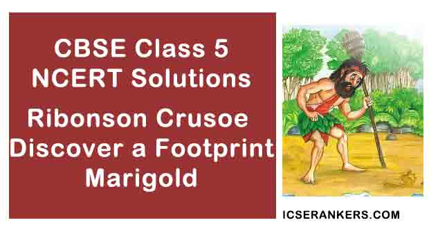 NCERT Solutions for Class 5th English Chapter 3 Ribonson Crusoe Discover a Footprint