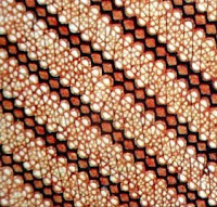  TOP 5 gambar motif  batik klasik khas Yogyakarta