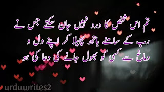 Urdu quotes about life