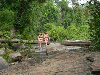 Jungle waterfalls