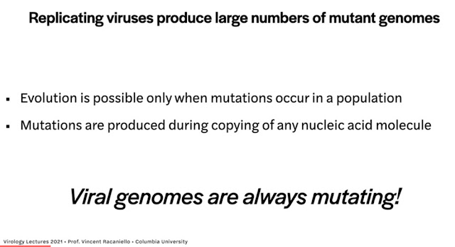 Viral genomes are always mutating (Source: Vincent Racaniello, "Virology Lectures 2021)