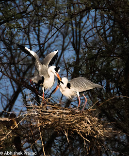 Keoladeo National Park