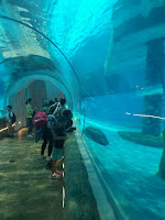 Hong Kong Aquarium
