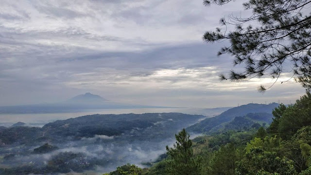 Menikmati Senja Puncak Becici di Atas Hamparan Pucuk Pinus