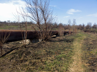 Водопропускна труба і залишки гідротехнічної споруди біля річки Сінної
