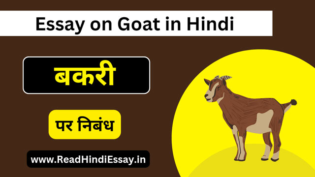 बकरी पर निबंध हिंदी में - Essay on Goat in Hindi