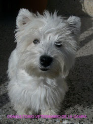 CHIQUI