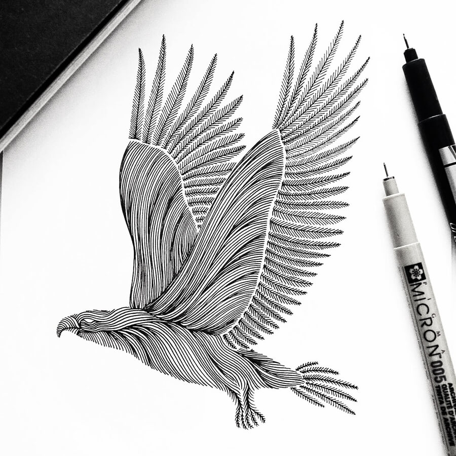 11-Eagle-Animal-Drawings-Melpomeni Chatzipanagiotou-www-designstack-co