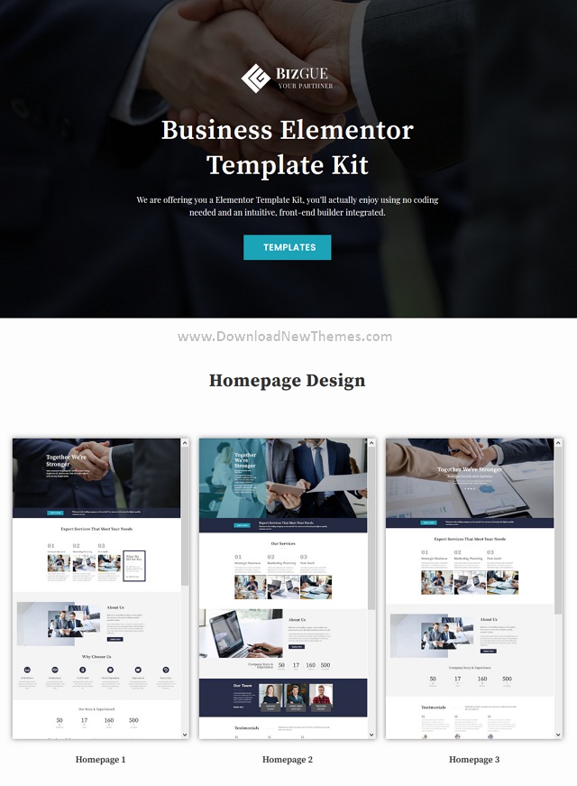 Business Elementor Template