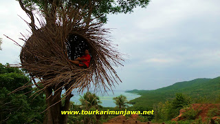 bukit love karimunjawa