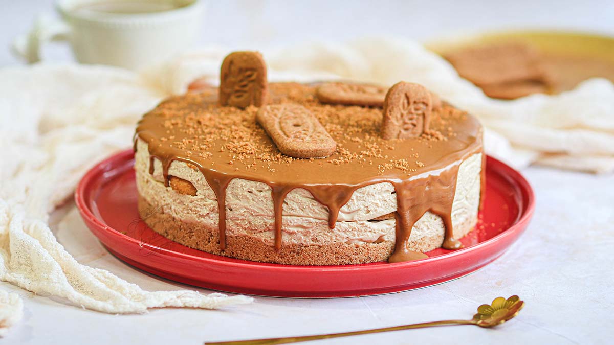 gateau-mousse-speculoos