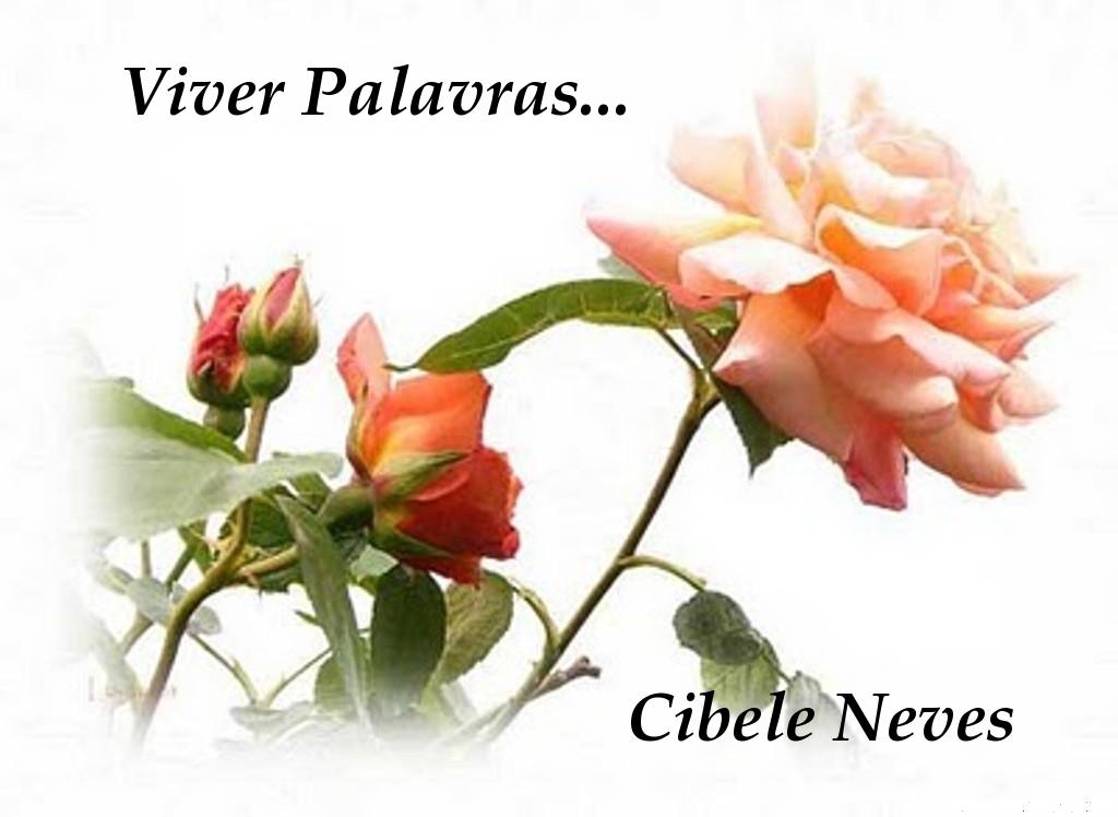 Viver Palavras...