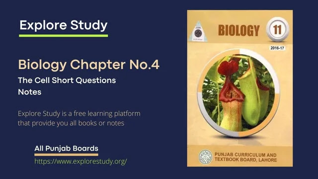 The Cell Short Questions - Class 11 Biology Chapter No.4