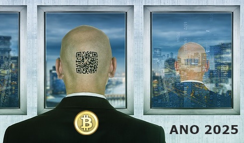 Bitcoin ano 2025