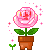 Gif de flor