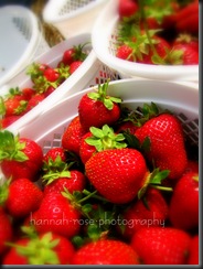 Strawberries! 219