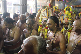 Sri TheliyaSingar , Sri Gajendra Varadhar, Samrokshanam, 2016, Video, Divya Prabhandam,Sri Parthasarathy Perumal, Triplicane,Thiruvallikeni,Utsavam,