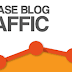 How to Build a High Traffic Blog for Profit