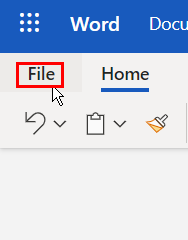 Click on File tab in MS Word